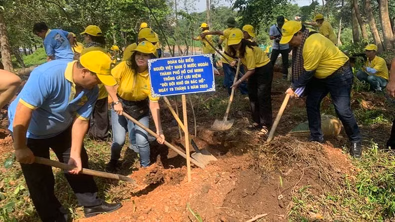 The delegation of overseas Vietnamese in Ho Chi Minh City participate in activities responding to the tree planting festival.