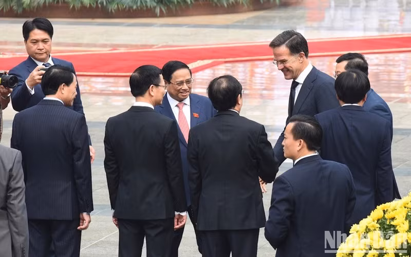 [In Pictures] PM Pham Minh Chinh chairs welcome ceremony for Dutch PM Mark Rutte ảnh 6