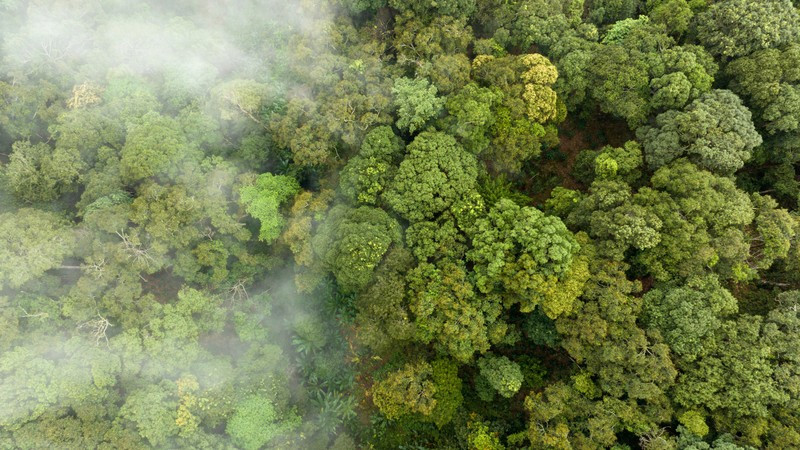 Challenges in green transition process 