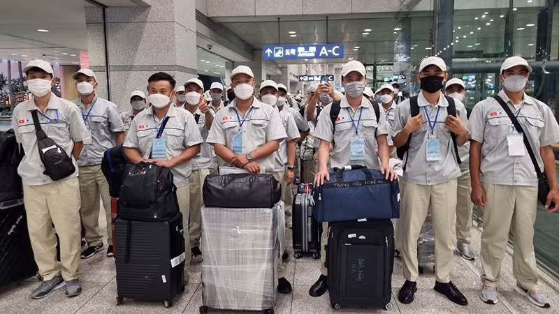 Workers sent abroad to work under contract (Photo: Colab)