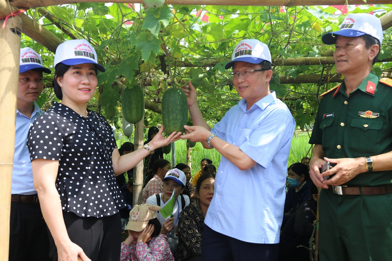 An ash gourd field in Bac Kan Province (Photo: VOV)