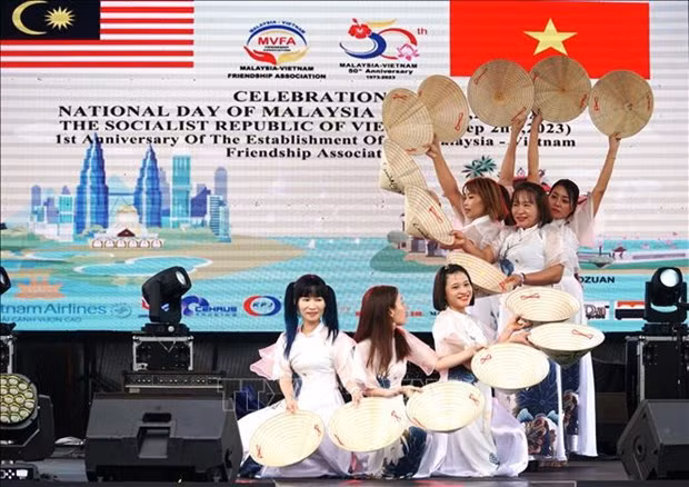 An art performance at the event (Photo: VNA)