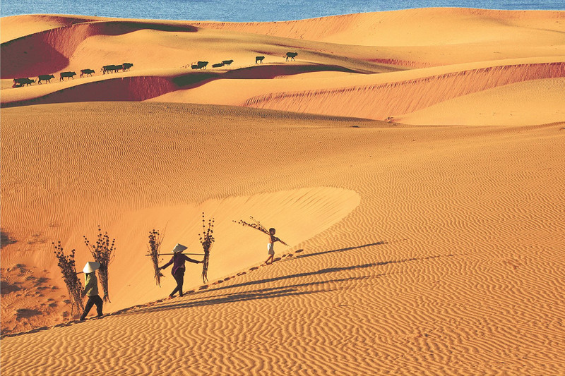 Mui Ne sand dune, a tourist attraction in Binh Thuan Province