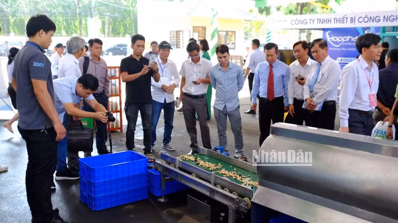 Cashew processing equipment showcased at the event (Photo: NDO)