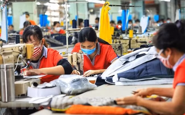 Garment-textile businesses have undergone significant changes but they have made efforts to diversify their export products with 36 items this year. (Photo: VNA)