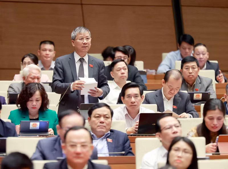 NA deputy Nguyen Anh Tri from Hanoi speaks at the session. (Photo: VNA)