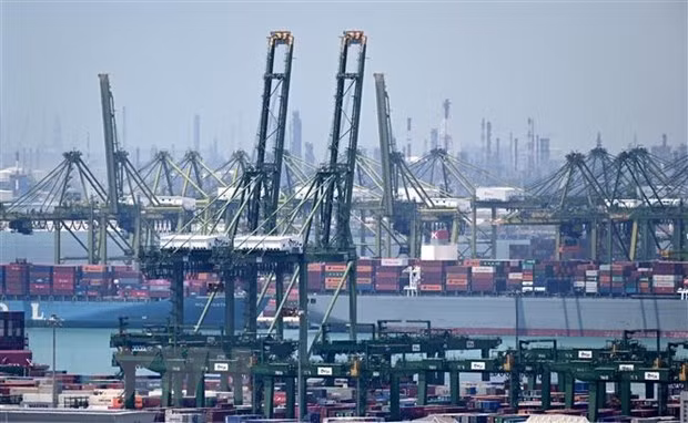 Container cargo at the Pasir Panjang terminal port in Singapore. (AFP/VNA Photo)