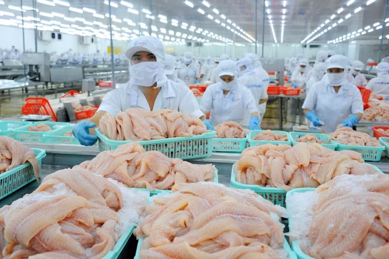 Seafood is a potential export item to the Chinese market. (Photo: LE HOANG VU)
