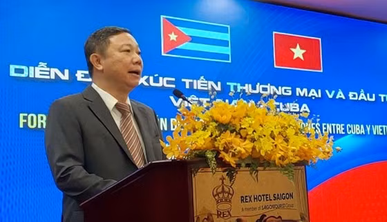 Vice Chairman of the Ho Chi Minh City People’s Committee Duong Anh speaking at the event. (Photo: sggp.org.vn)