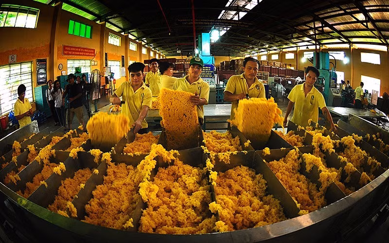 Thailand, Indonesia, China, Vietnam and Japan are the five largest markets supplying rubber to the RoK.