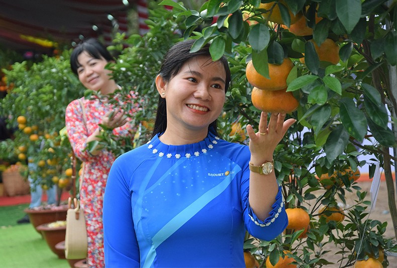 Mandarins showcased at the festival (Photo: Huu Nghia)