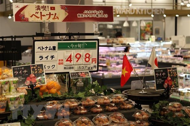 Vietnamese lychees are sold at an AEON supermarket in Japan which is a major trade partner of Vietnam in Asia. (Photo: VNA)
