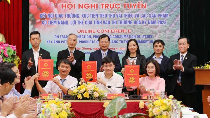 Delegates sign deals to export lychee to the US 
