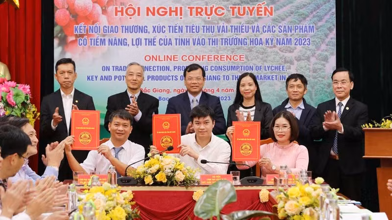 Delegates sign deals to export lychee to the US 