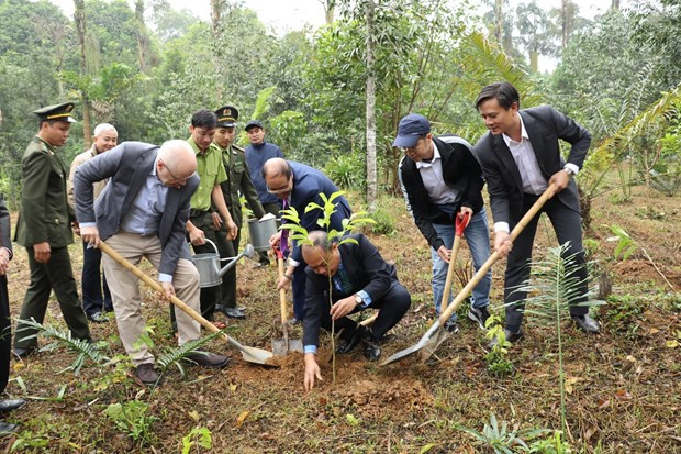 As many as 106 trees are planted to mark the 106th anniversary of Finland’s Independence Day. (Photo: VNA)