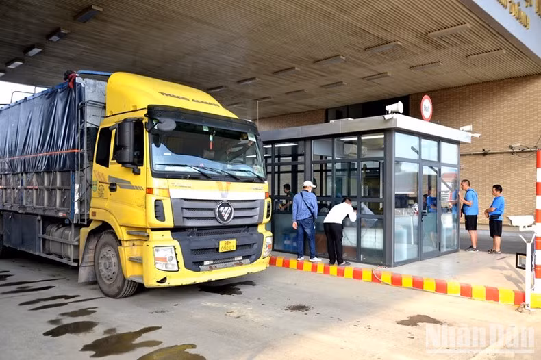 The Management Board has arranged the shortest and most convenient lanes for trucks carrying fresh lychee to enter the border gate. (Photo: NDO)