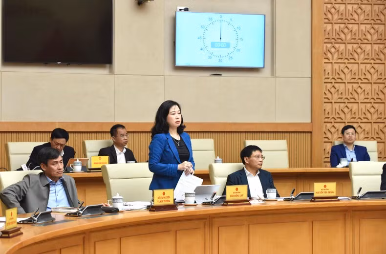 Health Minister Dao Hong Lan is speaking.