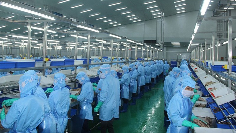 Seafood exports to the US, China and several countries plummeted due to inflation (Illustrative image/Photo: TRINH BINH)