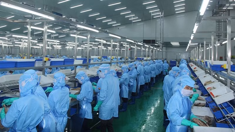 Seafood exports to the US, China and several countries plummeted due to inflation (Illustrative image/Photo: TRINH BINH)