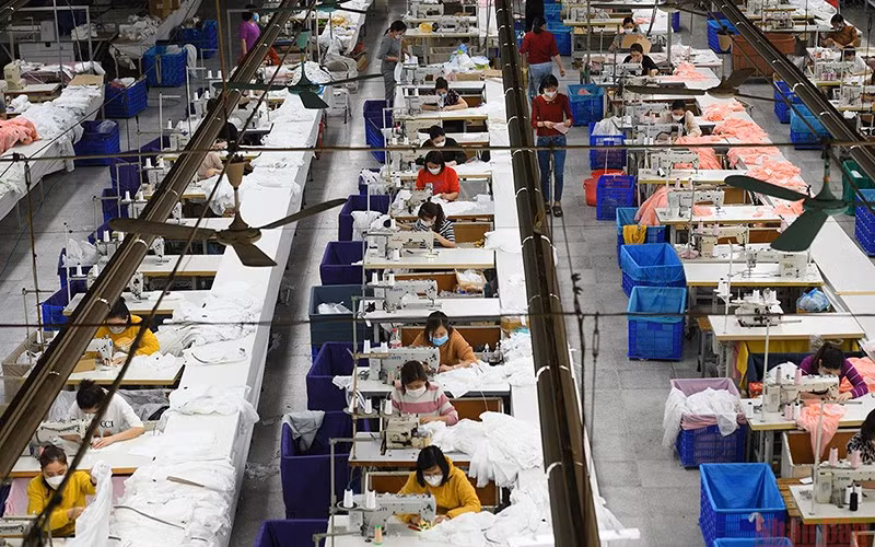 Illustrative image (Photo: THANH DAT)