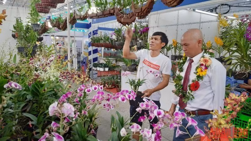 People buy orchids at the typical agricultural product fair and exhibition 2022.