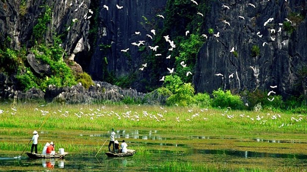 Illustrative image (Photo: tuyengiao.vn)