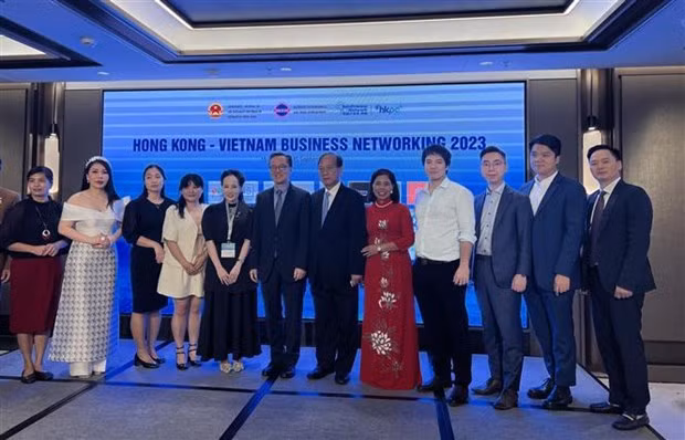 Representatives from businesses attend Hong Kong-Vietnam Business Networking 2023. (Photo: VNA)