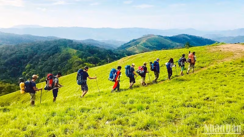 Tourists experience the Ta Nang-Phan Dung trekking tour.