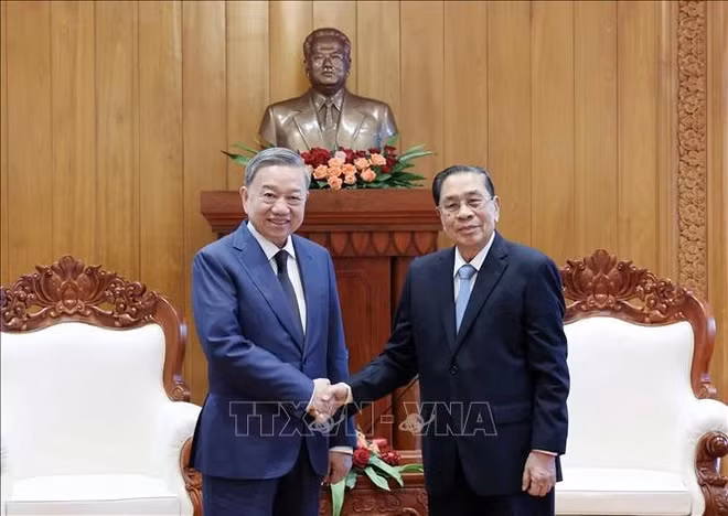 President To Lam (L) and former Party General Secretary and President of Laos Choummaly Sayasone (Photo: VNA)