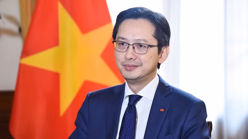 Deputy Minister of Foreign Affairs Do Hung Viet (Photo: VNA)