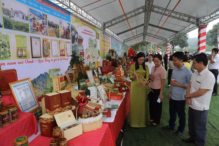 Delegates visit Danh Mountain ginseng products.