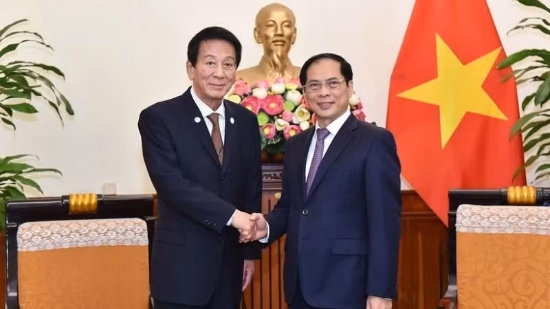 Foreign Minister Bui Thanh Son (right) receives visiting former Special Ambassador for Vietnam-Japan Sugi Ryotaro in Hanoi. (Photo: VNA)