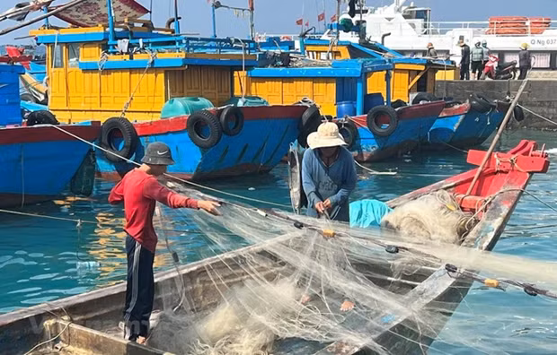 Illustrative photo (Photo: VNA)