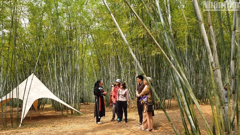 Hanoi - Bac Giang cultural tourism route launched