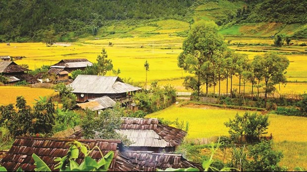 The assistance in house building and land reclamation aims to help with the implementation of the national target programme on socio-economic development in ethnic minority and mountainous area. (Photo: VNA)