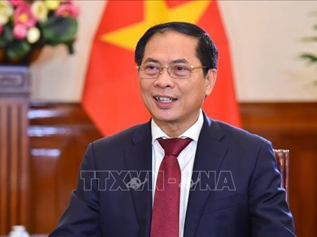 Foreign ministry sets economic diplomacy focuses for 2023