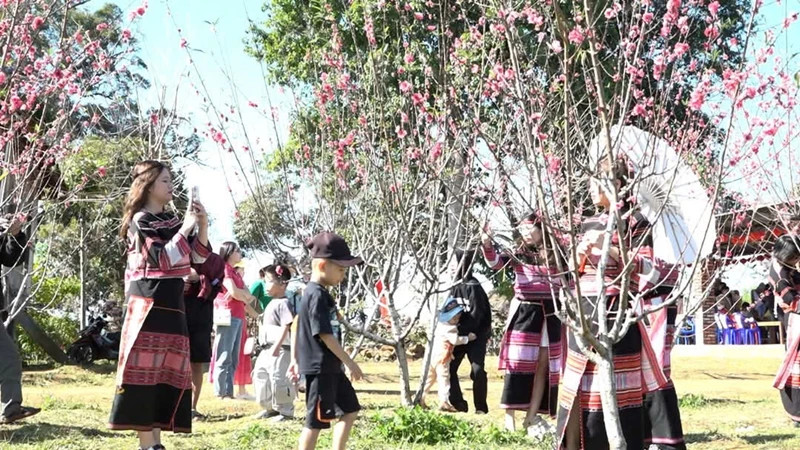 2025 Peach Blossom Festival.