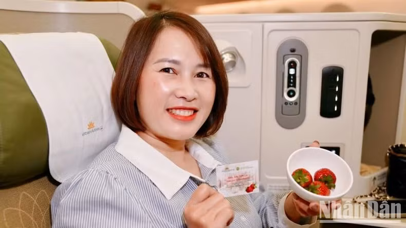 Vietnam Airlines is constantly searching for and selecting high-quality products from different regions to introduce to passengers, contributing to promoting agricultural product consumption and socio-economic development in localities.