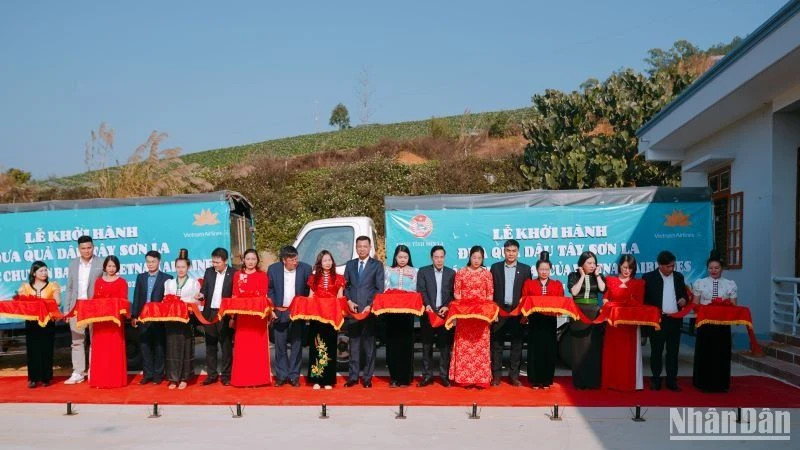 The launch ceremony for bringing Son La strawberries to Vietnam Airlines flights.