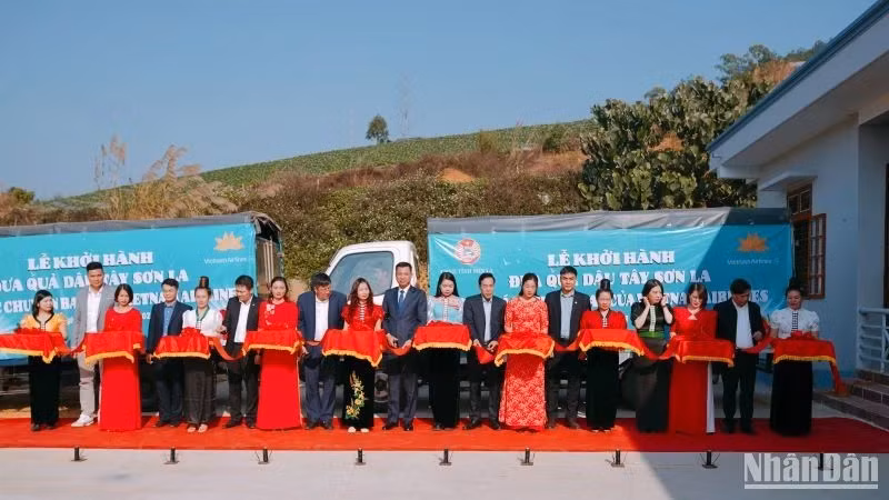 The launch ceremony for bringing Son La strawberries to Vietnam Airlines flights.