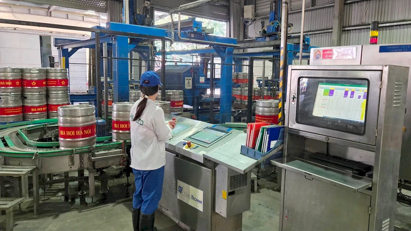 Beer production line at Hanoi Beer Alcohol and Beverage Corporation (Habeco)