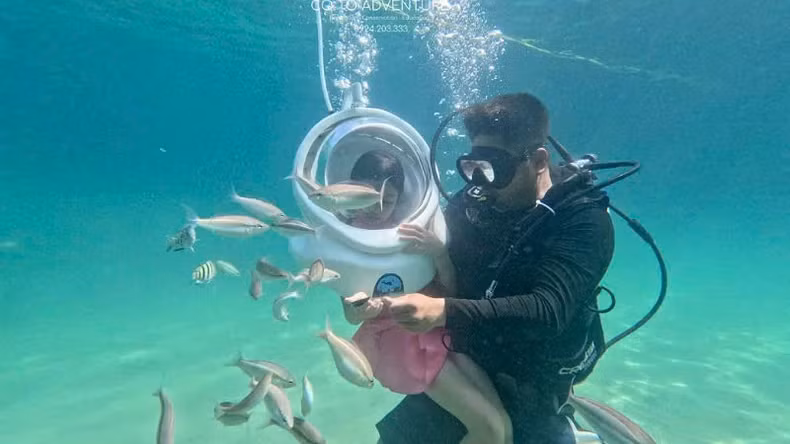 Co To’s marine environment is clean and rich in rare marine species