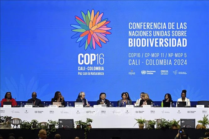 COP16 held in Cali, Colombia on October 21, 2024. (Photo: Xinhua/VNA)