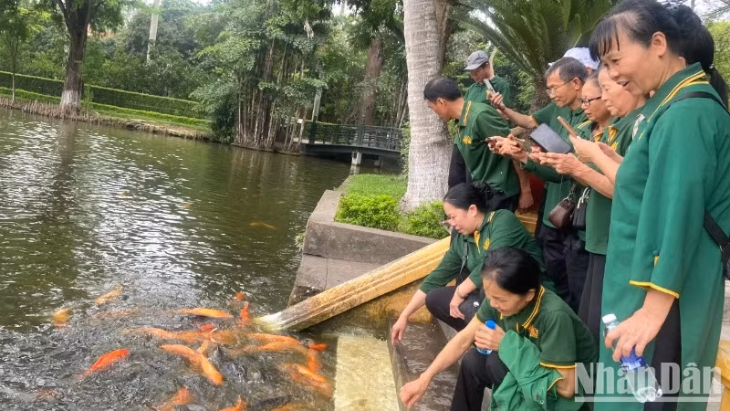 Visitors tour President Ho Chi Minh's fish pond.