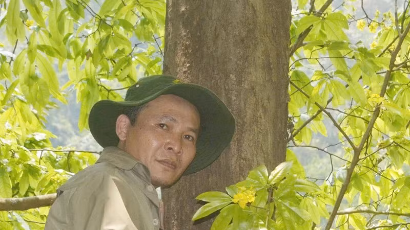 The ancient apricot tree has a trunk diameter of about 60cm