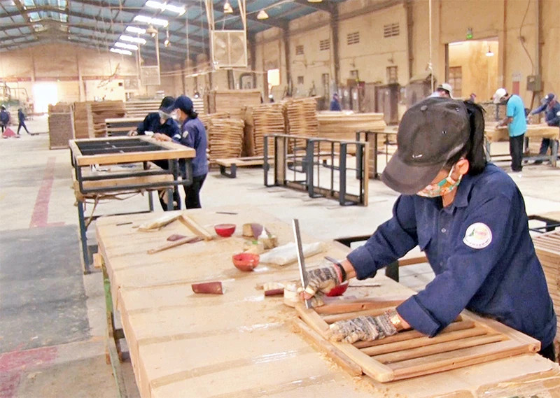 Wood processing at Pisico Binh Dinh Corporation (Phu Tai Industrial Park, Quy Nhon City).