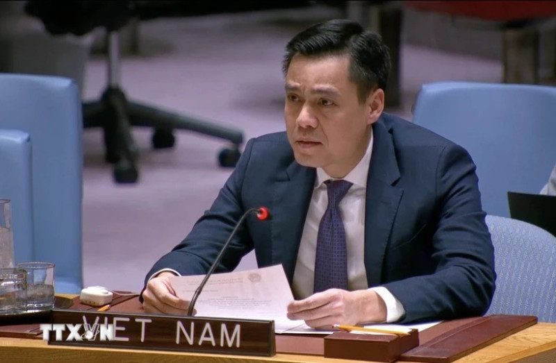 Ambassador Dang Hoang Giang, Vietnam's Permanent Representative to the UN (Photo: VNA)