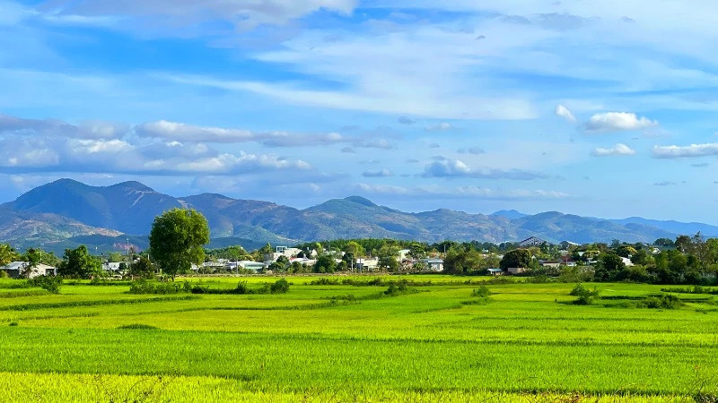 The rich, deep green beauty of Bo Y borderland