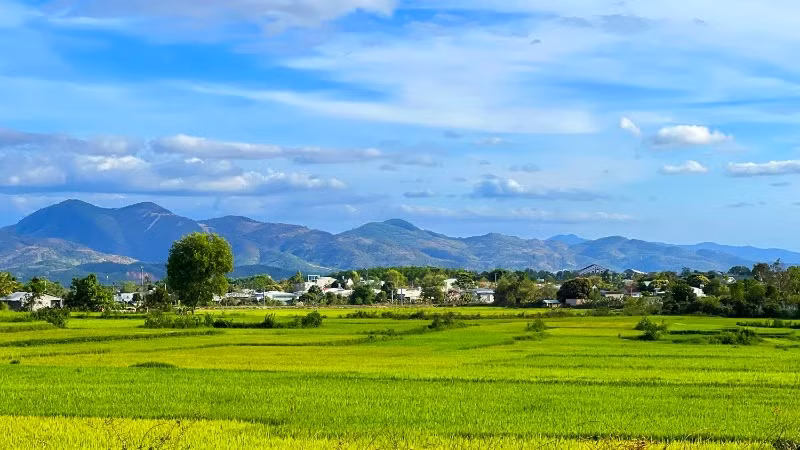 The rich, deep green beauty of Bo Y borderland