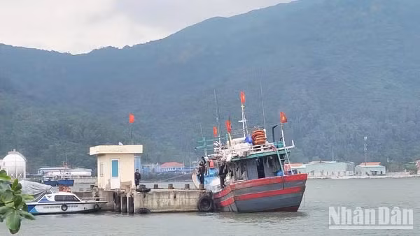 Fishing boats undergo pre-departure checks to ensure safe operations.